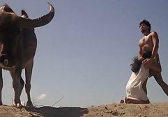 هالی دارای مشاغل سیکس فیلم ایرانی سرد و انعطاف پذیر و گربه تراشیده است که همیشه آماده ارضای خواسته های مردانه است.